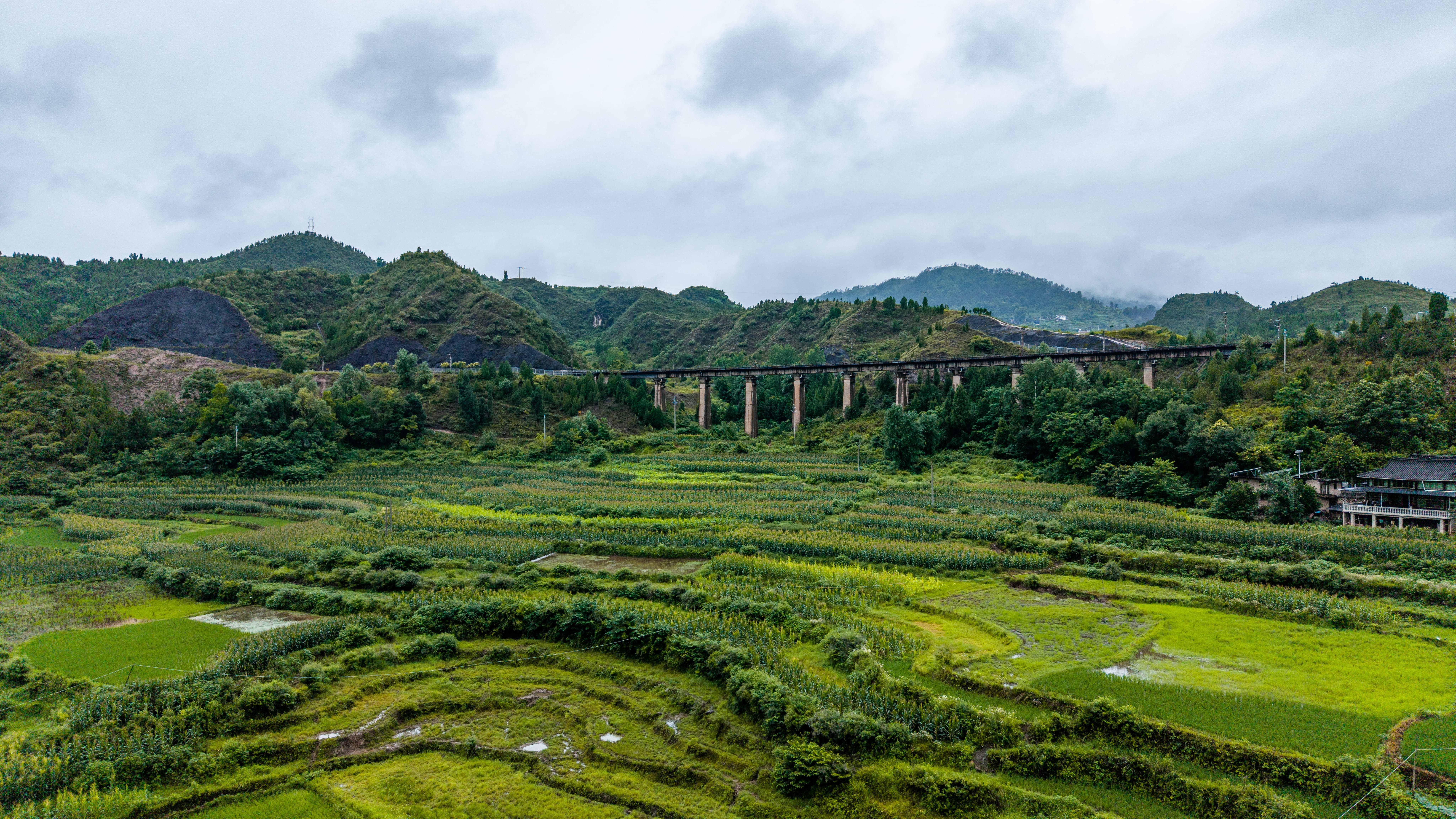 泥泞中“挖”出幸福路！徐工小挖点亮黔东南苗寨新家园
